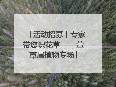 活动招募丨专家带您识花草——萱草属植物专场