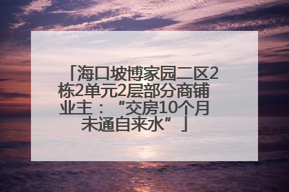 海口坡博家园二区2栋2单元2层部分商铺业主：“交房10个月未通自来水”