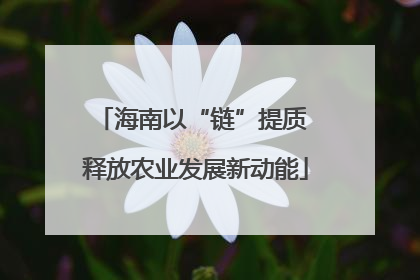 海南以“链”提质 释放农业发展新动能