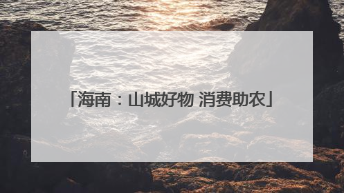 海南：山城好物 消费助农