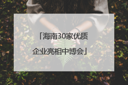 海南30家优质企业亮相中博会