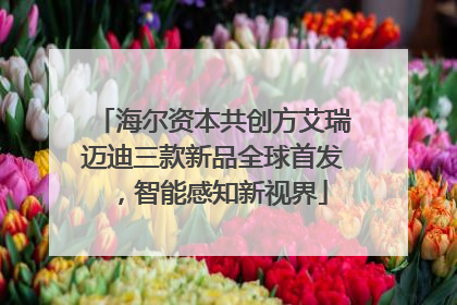 海尔资本共创方艾瑞迈迪三款新品全球首发，智能感知新视界