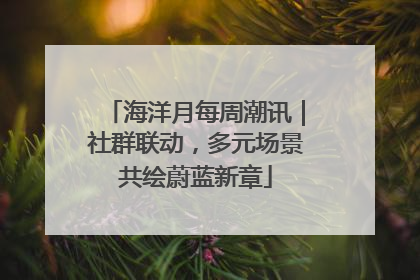 海洋月每周潮讯｜社群联动，多元场景共绘蔚蓝新章