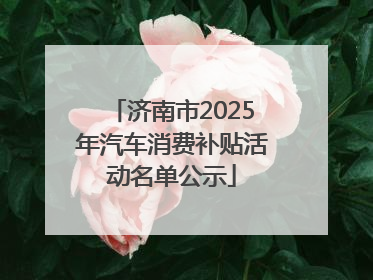 济南市2025年汽车消费补贴活动名单公示