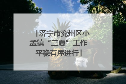 济宁市兖州区小孟镇“三夏”工作平稳有序进行