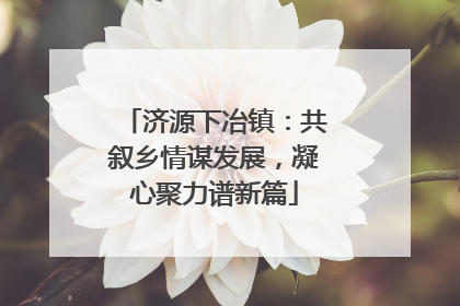 济源下冶镇：共叙乡情谋发展，凝心聚力谱新篇
