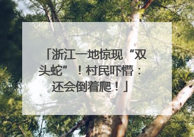 浙江一地惊现“双头蛇”！村民吓懵：还会倒着爬！