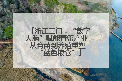 浙江三门：“数字大脑”赋能青蟹产业 从育苗到养殖重塑“蓝色粮仓”