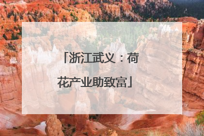 浙江武义：荷花产业助致富