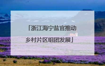 浙江海宁盐官推动乡村片区组团发展