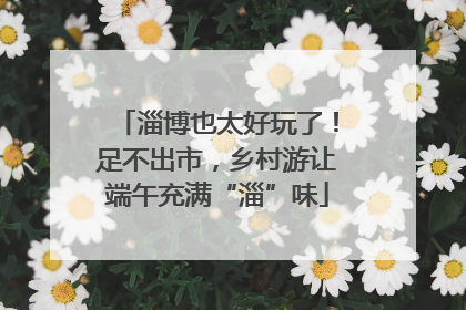 淄博也太好玩了！足不出市，乡村游让端午充满“淄”味