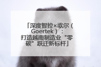 深度智控×歌尔（Goertek）：打造越南制造业“零碳”跃迁新标杆