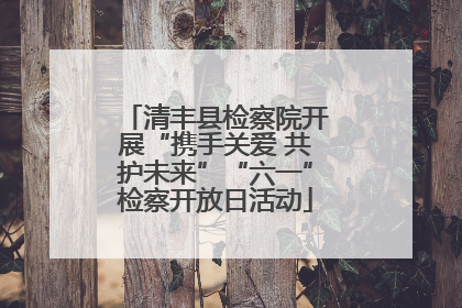 清丰县检察院开展“携手关爱 共护未来”“六一”检察开放日活动