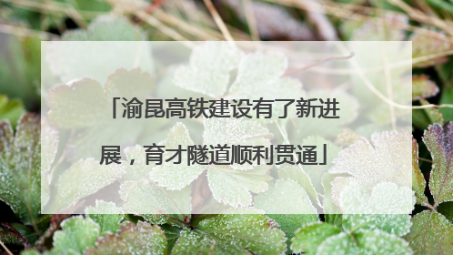 渝昆高铁建设有了新进展，育才隧道顺利贯通