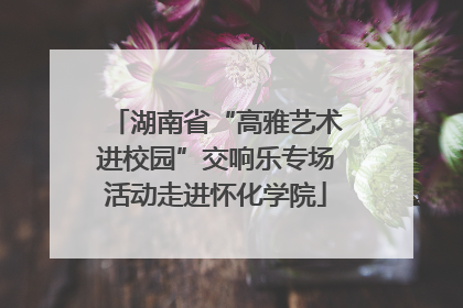 湖南省“高雅艺术进校园”交响乐专场活动走进怀化学院