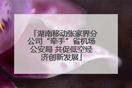 湖南移动张家界分公司“牵手”省机场公安局 共促低空经济创新发展
