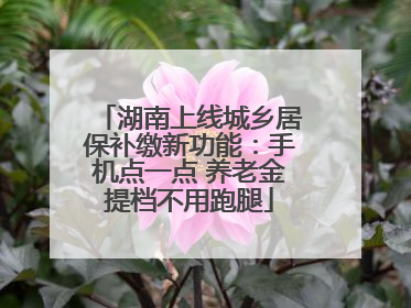 湖南上线城乡居保补缴新功能：手机点一点 养老金提档不用跑腿