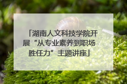 湖南人文科技学院开展“从专业素养到职场胜任力”主题讲座