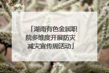 湖南有色金属职院多维度开展防灾减灾宣传周活动