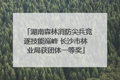 湖南森林消防尖兵竞逐技能巅峰 长沙市林业局获团体一等奖