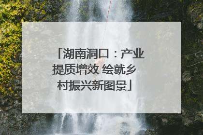 湖南洞口：产业提质增效 绘就乡村振兴新图景