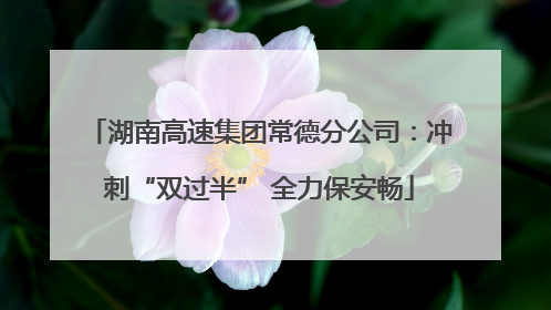 湖南高速集团常德分公司：冲刺“双过半” 全力保安畅