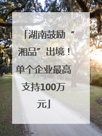 湖南鼓励“湘品”出境！单个企业最高支持100万元
