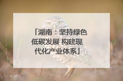 湖南：坚持绿色低碳发展 构建现代化产业体系
