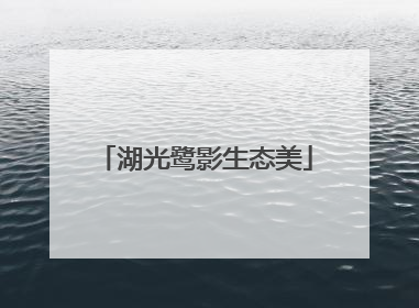 湖光鹭影生态美