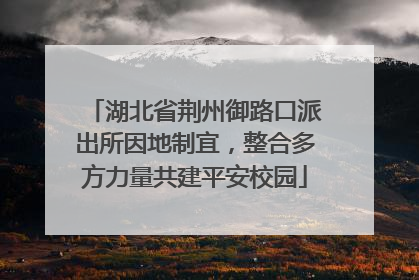 湖北省荆州御路口派出所因地制宜，整合多方力量共建平安校园