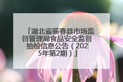 湖北省蕲春县市场监督管理局食品安全监督抽检信息公告（2025年第2期）