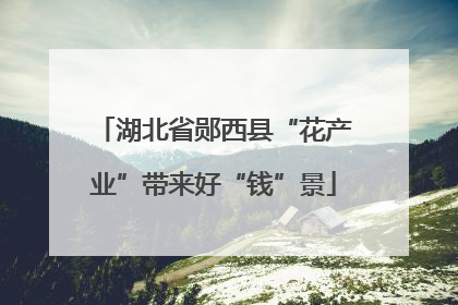 湖北省郧西县“花产业”带来好“钱”景