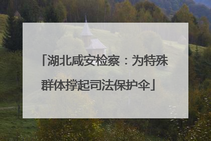 湖北咸安检察：为特殊群体撑起司法保护伞