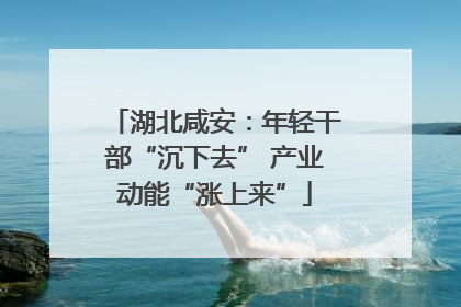 湖北咸安：年轻干部“沉下去” 产业动能“涨上来”