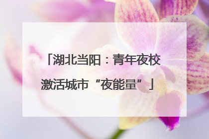 湖北当阳：青年夜校激活城市“夜能量”