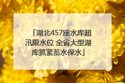 湖北457座水库超汛限水位 全省大型湖库抓紧蓄水保水