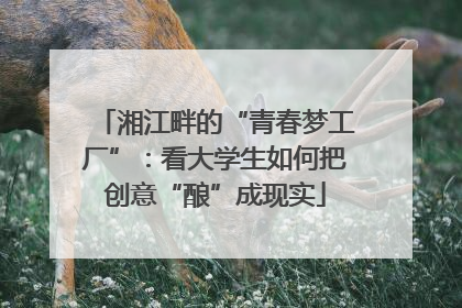 湘江畔的“青春梦工厂”：看大学生如何把创意“酿”成现实