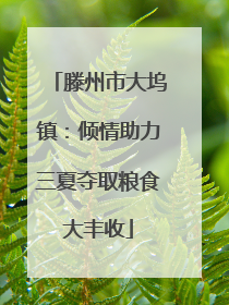 滕州市大坞镇：倾情助力三夏夺取粮食大丰收