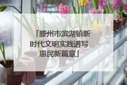 滕州市滨湖镇新时代文明实践谱写惠民新篇章