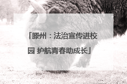 滕州：法治宣传进校园 护航青春助成长