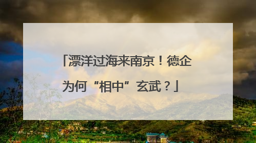 漂洋过海来南京！德企为何“相中”玄武？