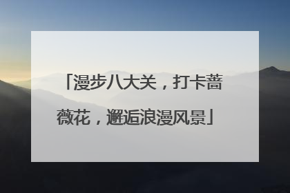 漫步八大关，打卡蔷薇花，邂逅浪漫风景