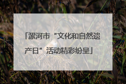 漯河市“文化和自然遗产日”活动精彩纷呈
