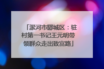 漯河市郾城区：驻村第一书记王元明带领群众走出致富路