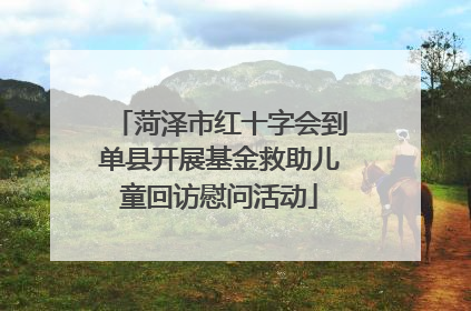 菏泽市红十字会到单县开展基金救助儿童回访慰问活动