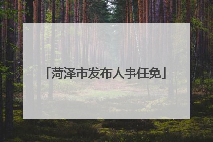 菏泽市发布人事任免