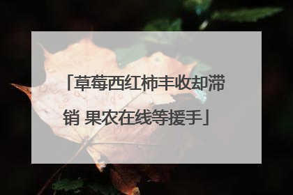 草莓西红柿丰收却滞销 果农在线等援手