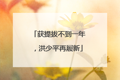 获提拔不到一年，洪少平再履新