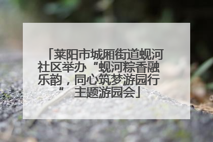 莱阳市城厢街道蚬河社区举办“蚬河粽香融乐韵，同心筑梦游园行” 主题游园会