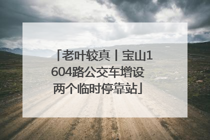 老叶较真丨宝山1604路公交车增设两个临时停靠站